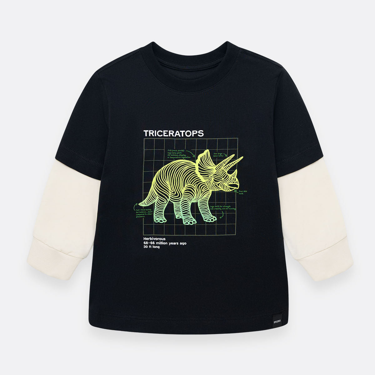 long-sleeve-t-shirt-for-boy-41339231