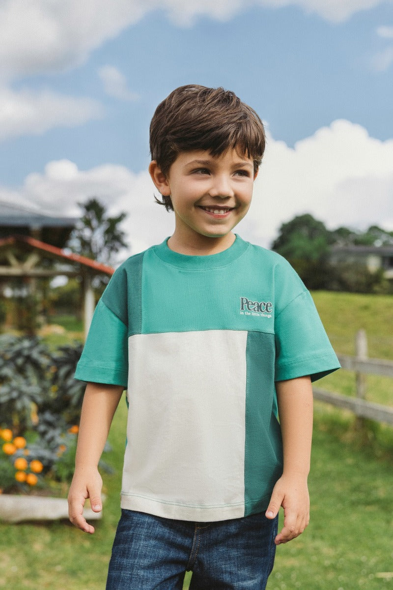 Toddler boy short sleeve T-Shirt
