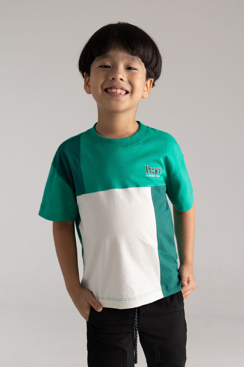 Toddler boy short sleeve T-Shirt