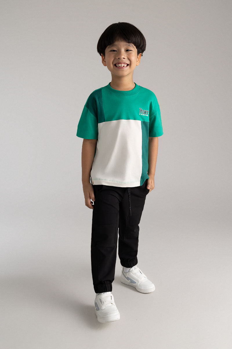Toddler boy short sleeve T-Shirt