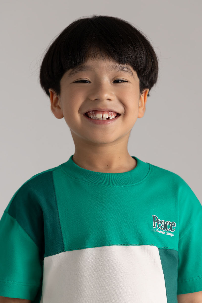 Toddler boy short sleeve T-Shirt