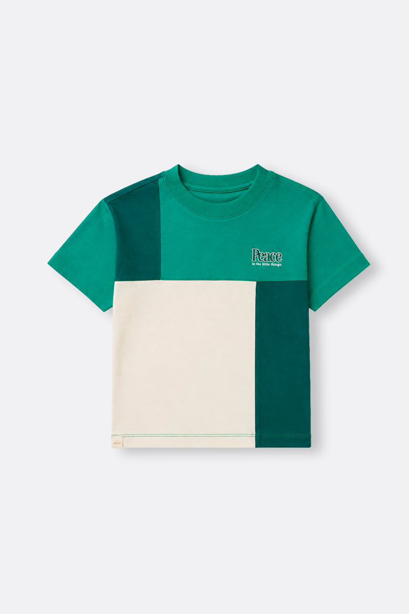 Toddler boy short sleeve T-Shirt