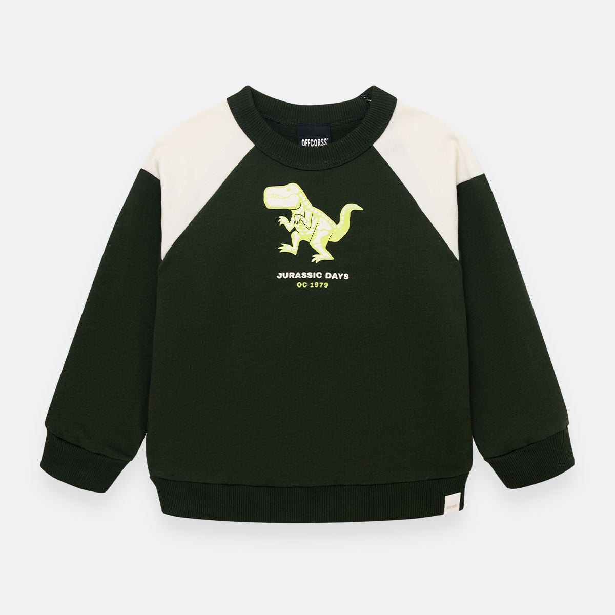 pullover-sweatshirt-for-boy-41531601
