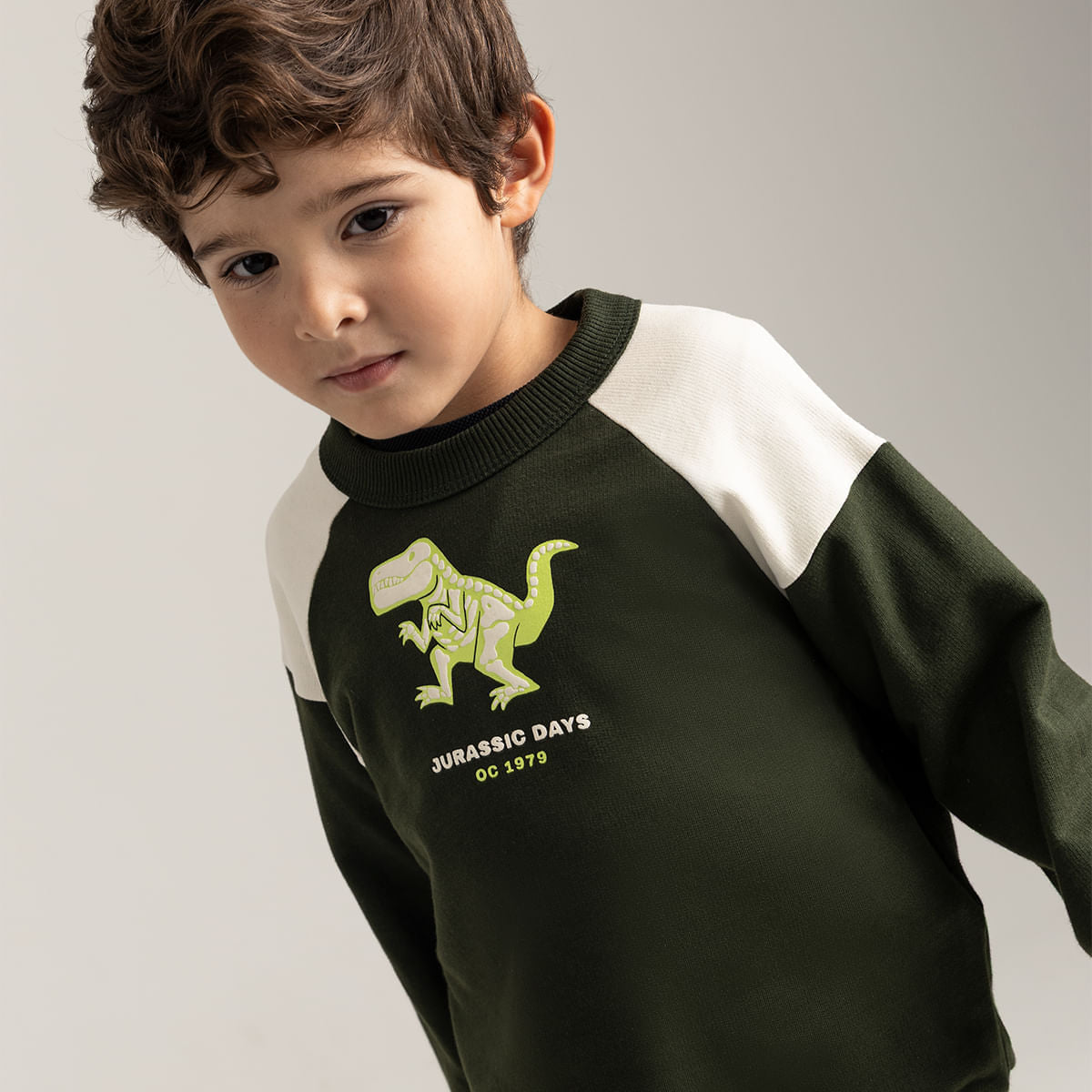 pullover-sweatshirt-for-boy-41531601