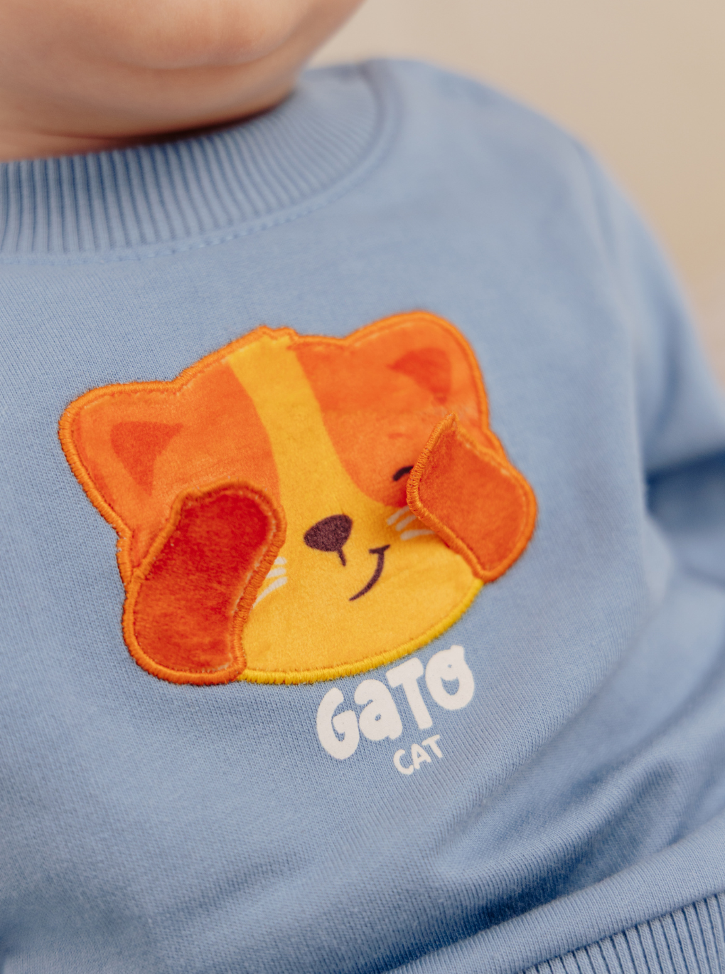 Baby Boy Sweatshirt and Sweatpants Knit Two-Piece Set